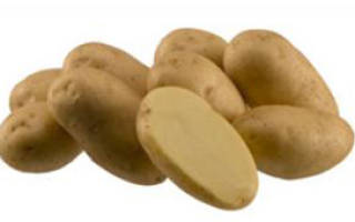 Высокоурожайное выращивание картофеля скачать бесплатно