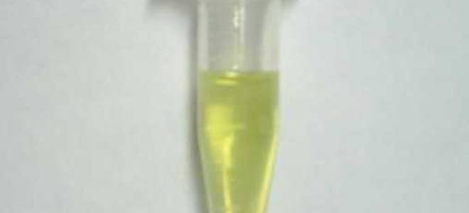 Эпин экстра для рассады