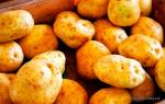 Как посадить картошку чтобы был хороший урожай