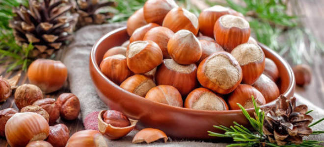 Как посадить фундук