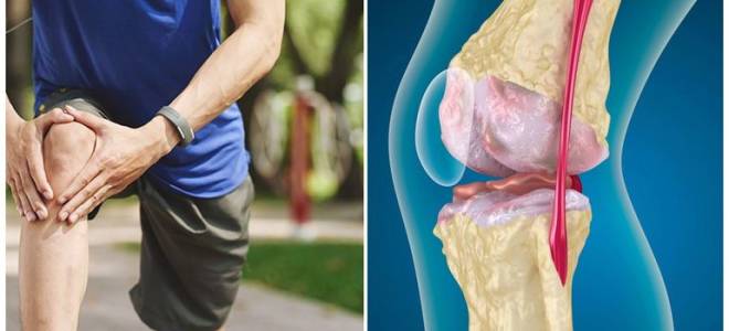 Лечение суставов хреном