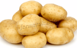Суперранние сорта картофеля