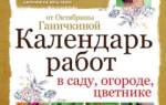 Советы октябрины ганичкиной по выращиванию лука