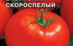 Сорт помидор сибирский скороспелый