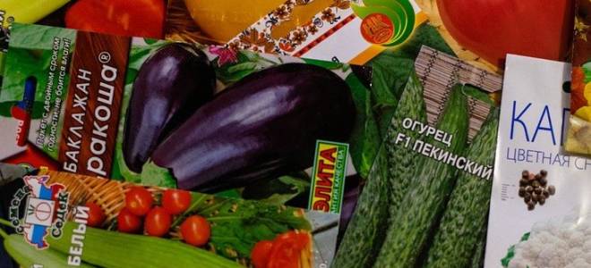 Как садить рассаду