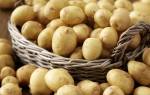 Ультраранние сорта картофеля