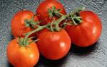 Как ухаживать за томатами в теплице видео